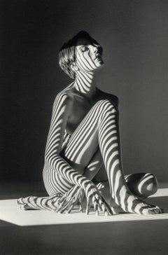 Roarie IV ( Nu dans les ombres)