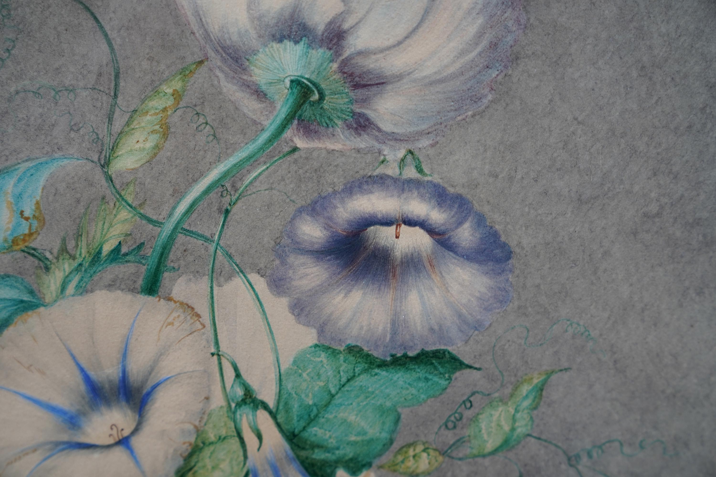 Cette charmante aquarelle de maître ancien, datant d'environ 1800, représente des fleurs de ipomée et des vrilles entrelacées avec un coquelicot. Le feuillage a une tonalité vert métallique et la gloire du matin blanche est teintée de bleu.
