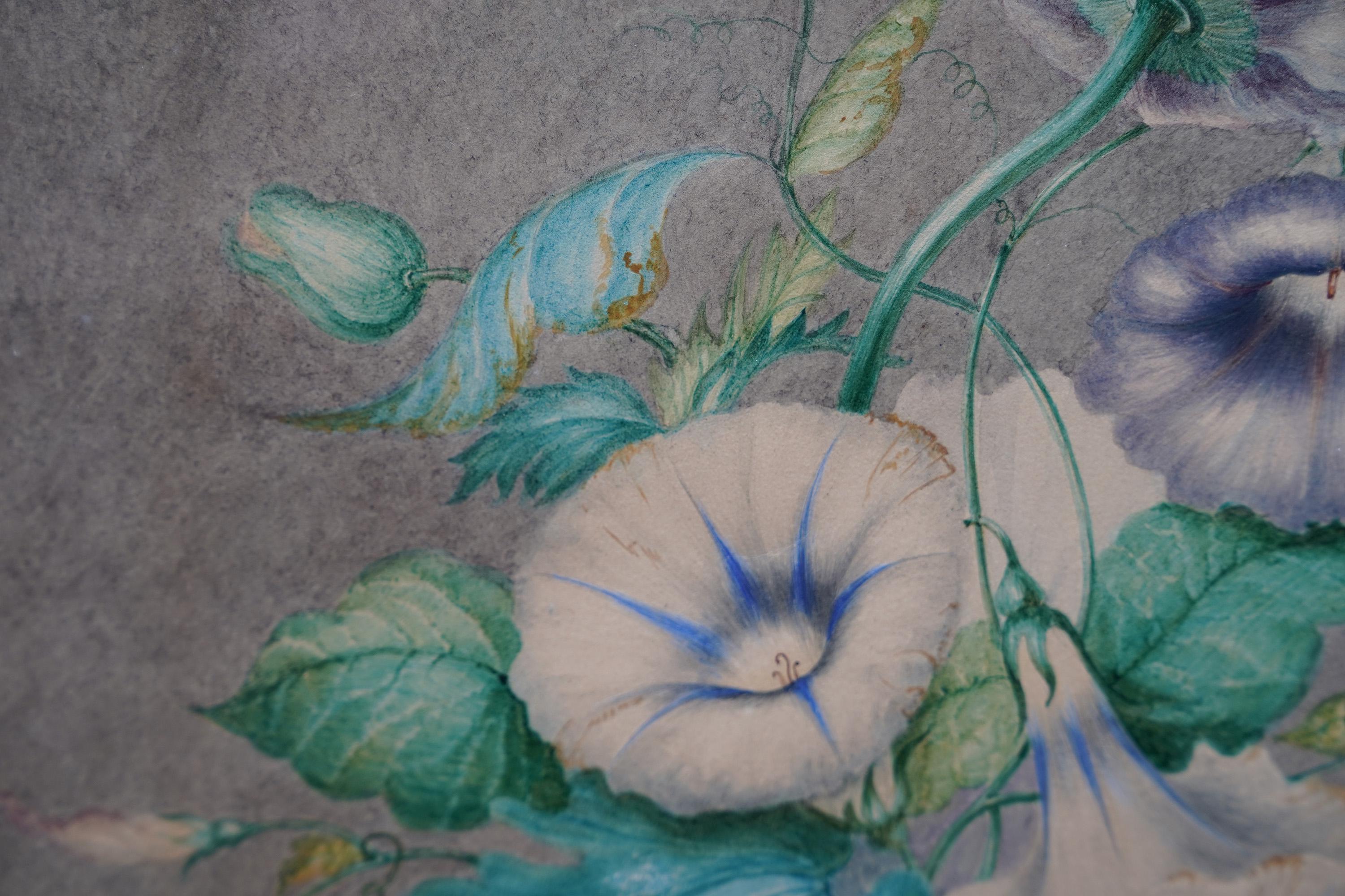 This charming Old Master circa 1800 water colour painting is of morning glory flowers and tendrils entwined with a poppy. The foliage has a metallic green tone and the white morning glory is tinged with blue. The artist is suggesting the passing of