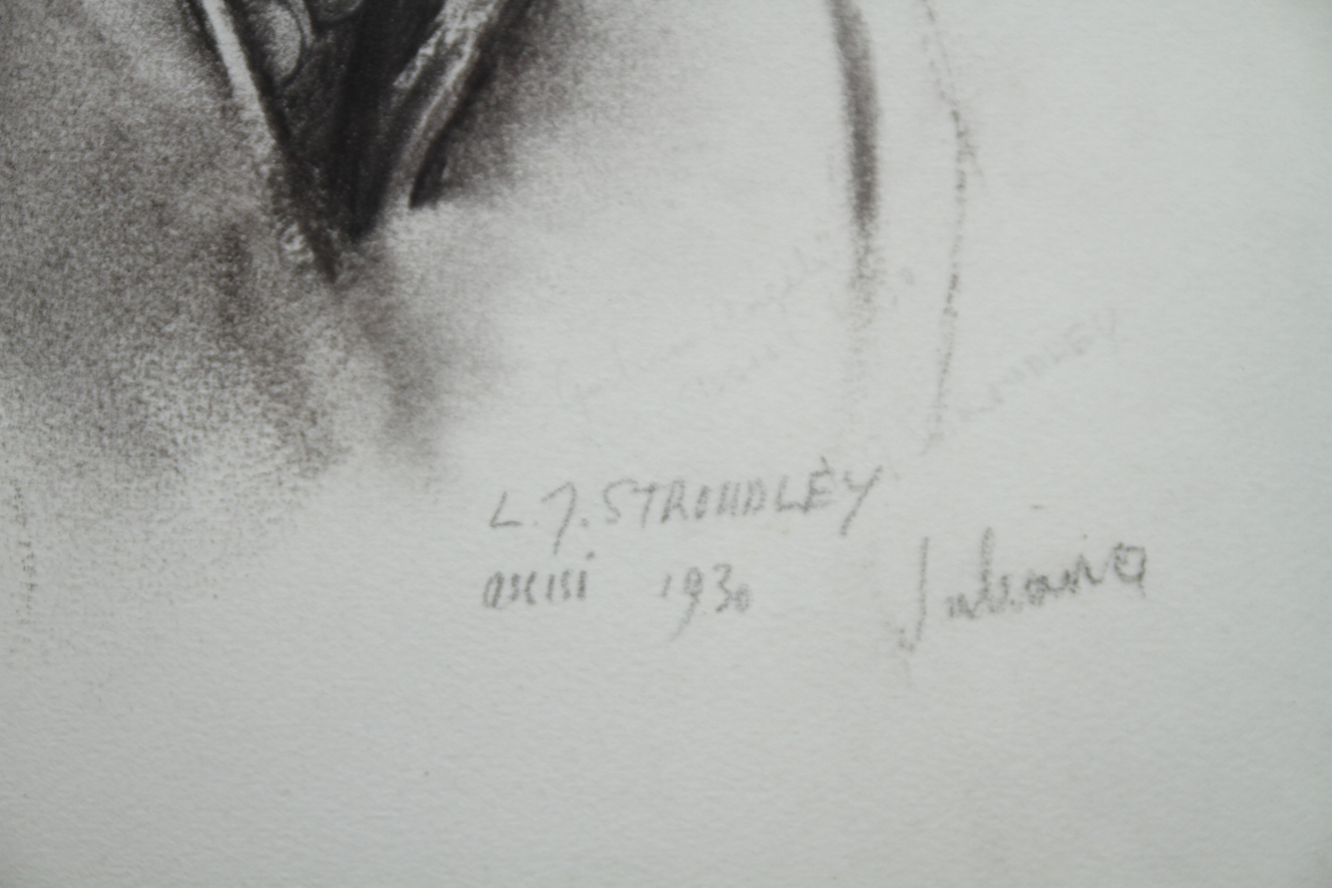 Portrait de Juliana - dessin au crayon au fusain Art Déco britannique d'une femme  en vente 4