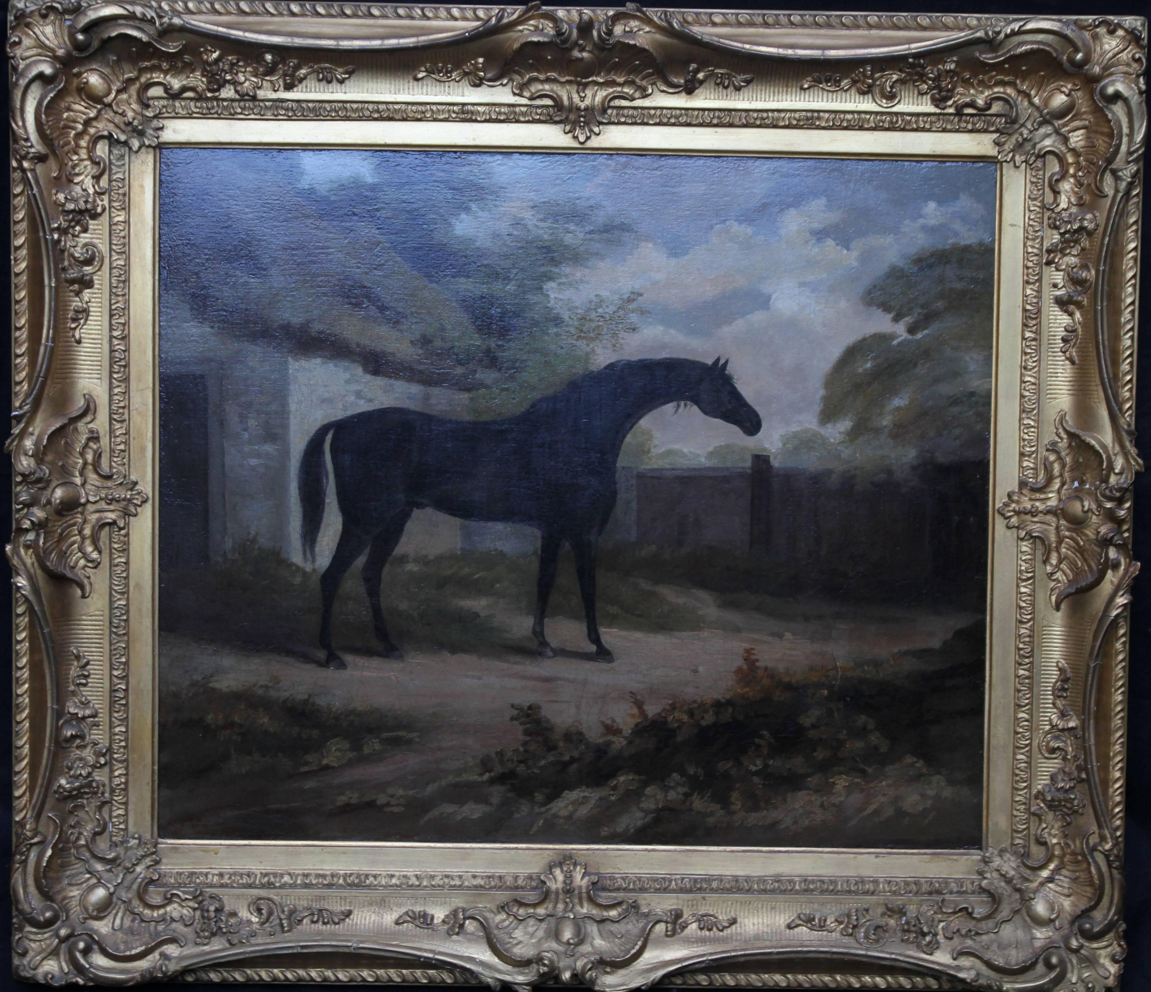 attributed to John Boutlbee Animal Painting - Trumpator Black Racehorse - British Old Master oil painting pupil Joshua Reynold