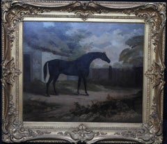 Trumpator Black Racehorse - British Old Master oil painting pupil Joshua Reynold