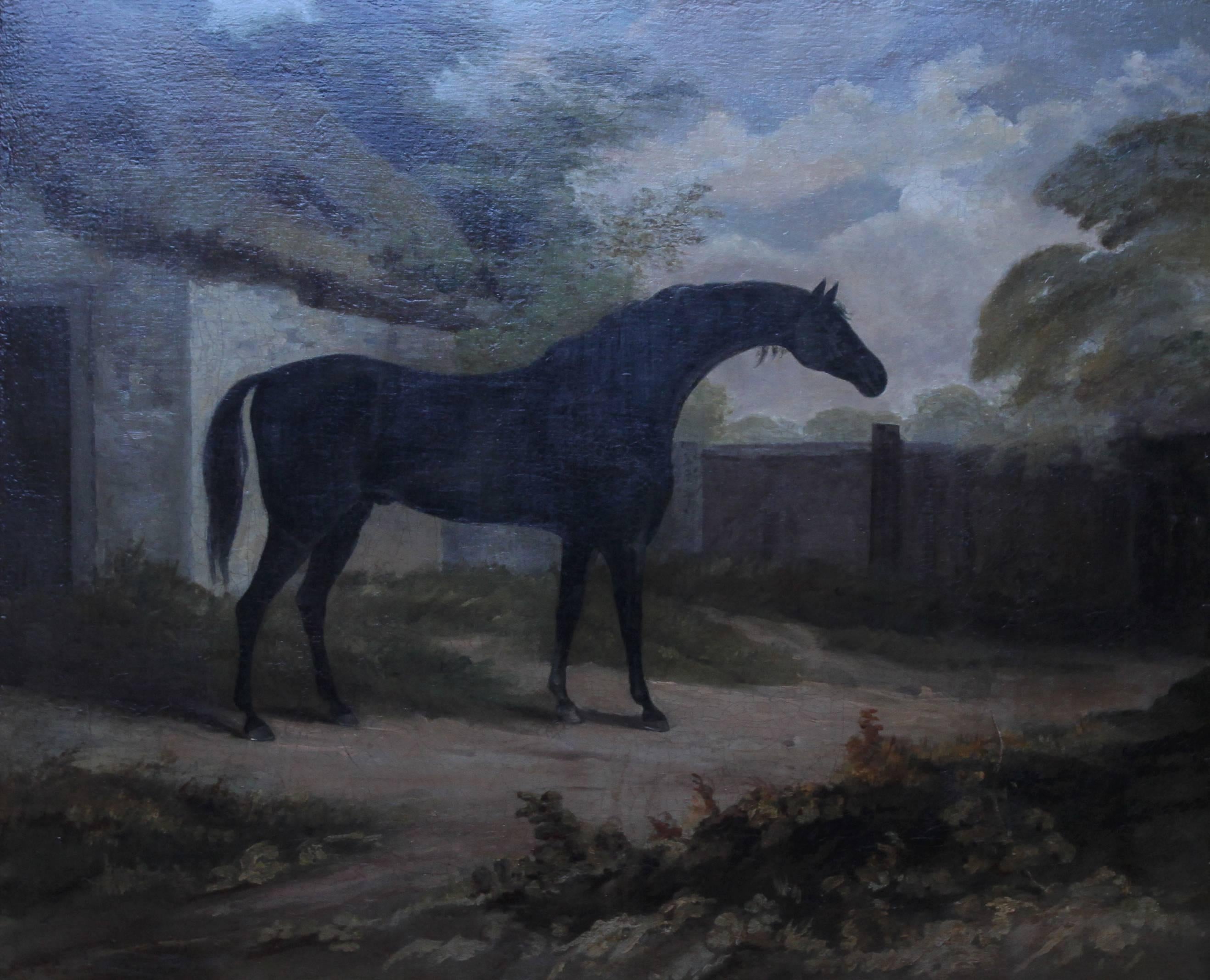 Trumpator Black Racehorse - British Old Master oil painting pupil Joshua Reynold - Painting by attributed to John Boutlbee
