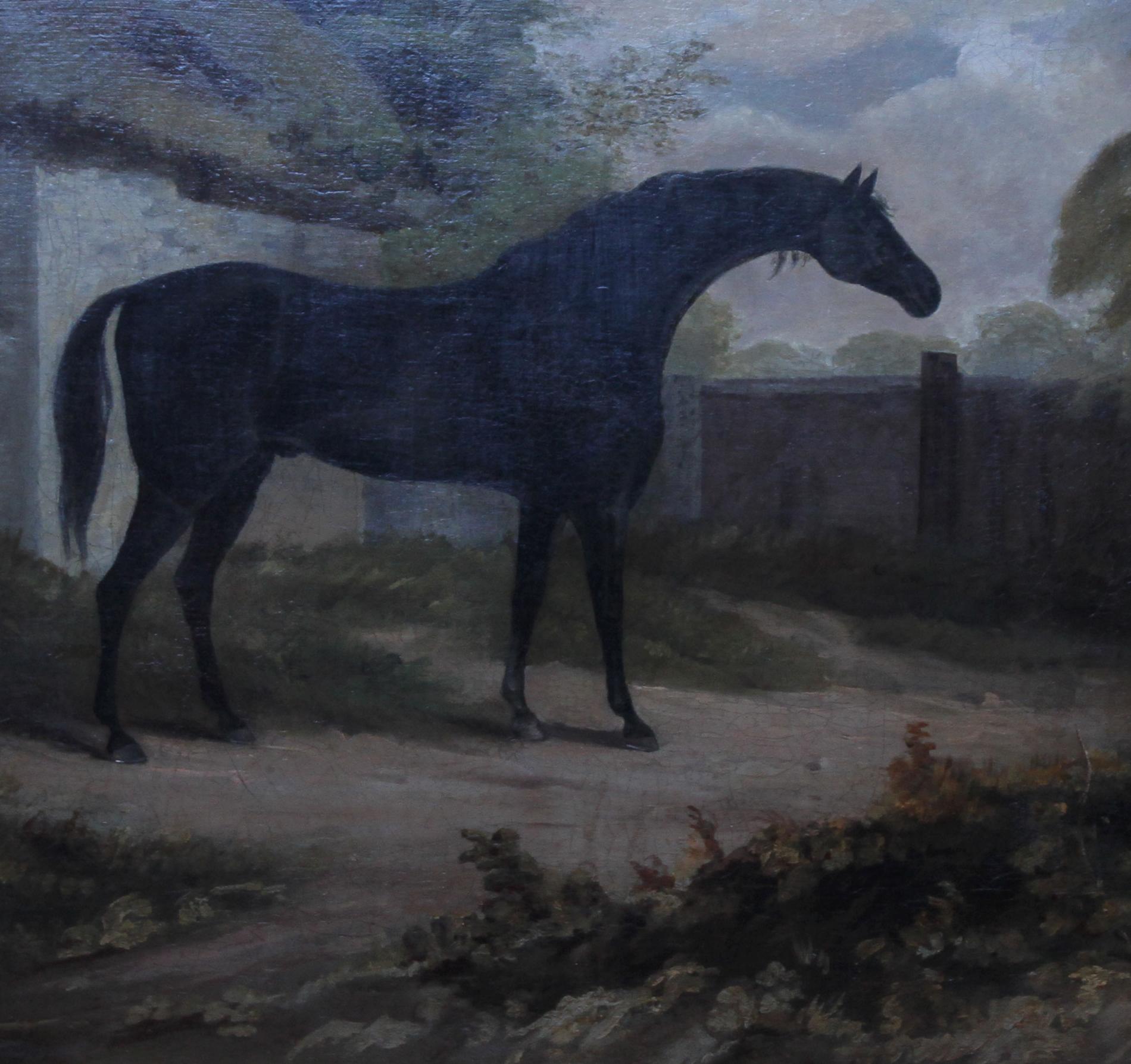 Trumpator Black Racehorse - British Old Master oil painting pupil Joshua Reynold - Old Masters Painting by attributed to John Boutlbee