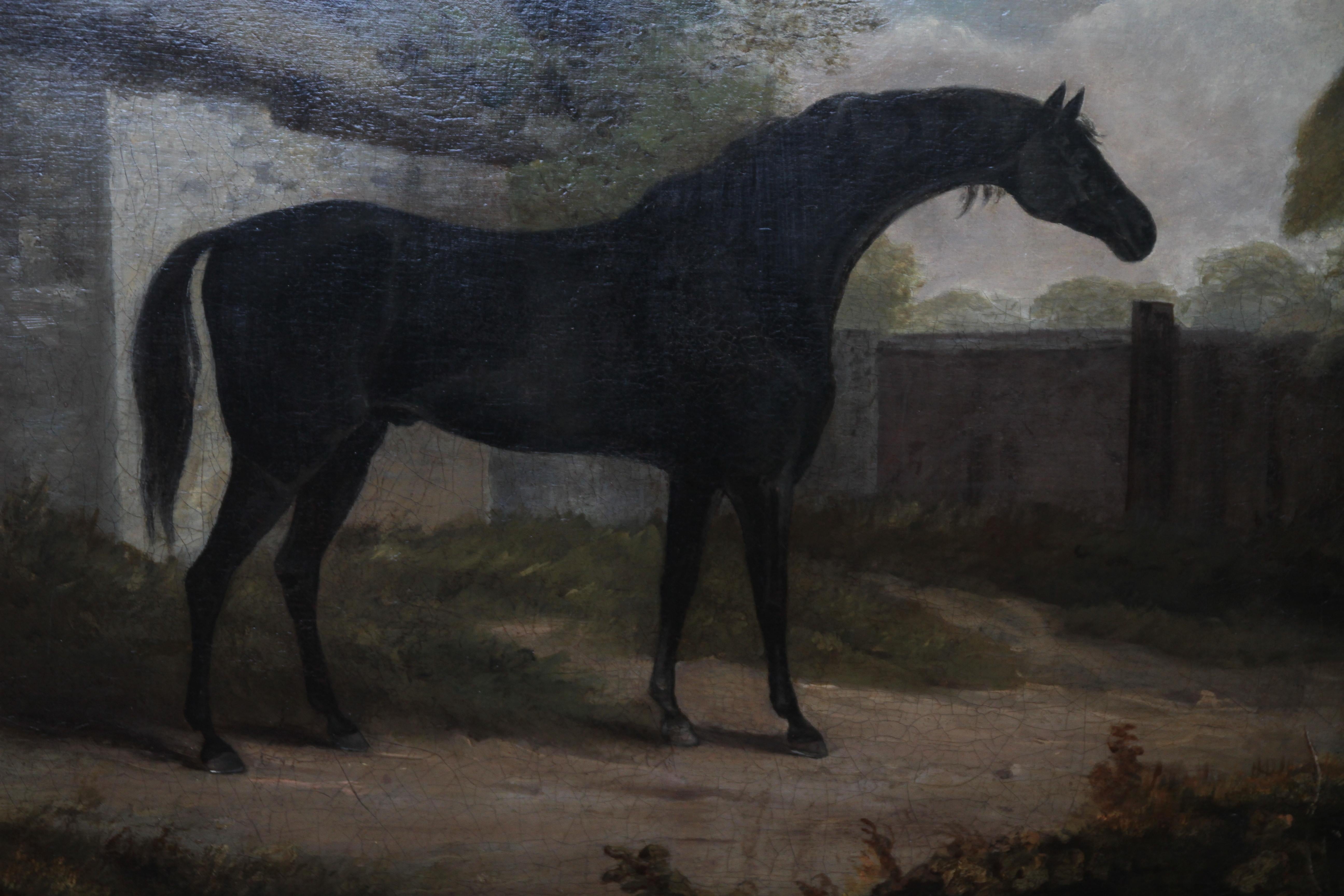 A fine British Old Master oil painting in the 18th century tradition of George Stubbs and Sawrey Gilpen which is attributed to John Boutlbee.  It depicts a black racehorse, Trumpator, who was a famous winner in the late 18th century. The paintings