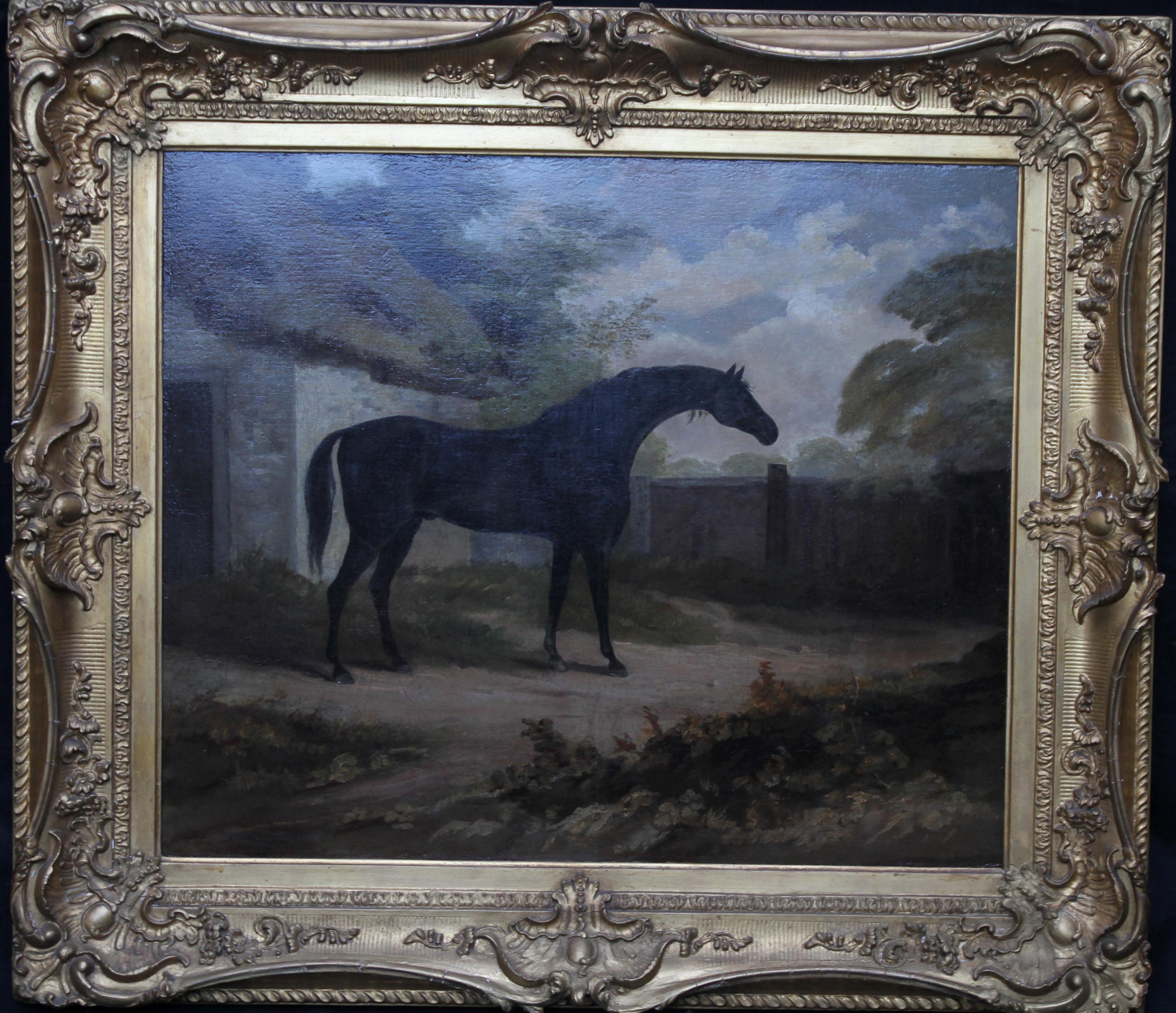 Trumpator Black Racehorse - British Old Master oil painting pupil Joshua Reynold 7