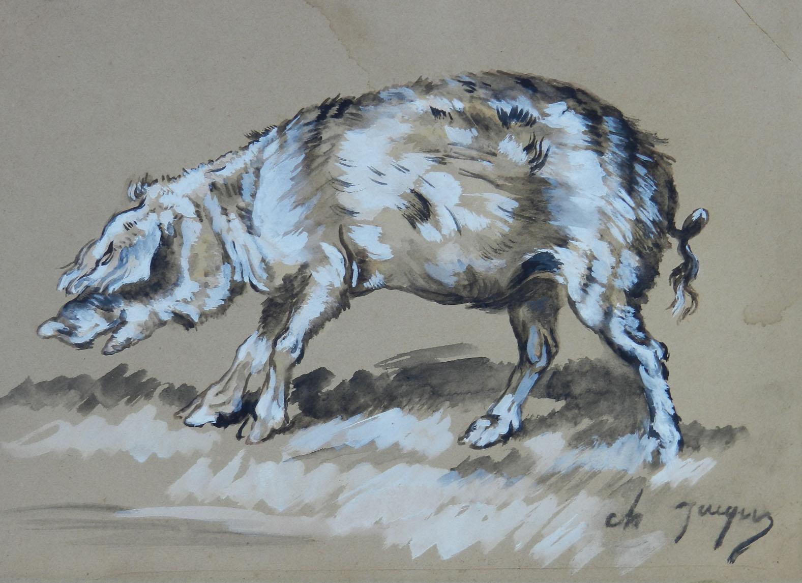 Watercolor Study of Pig by Charles Jacque Barbizon School French 19th century 7