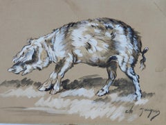 Watercolor Study of Pig by Charles Jacque Barbizon School French 19th century