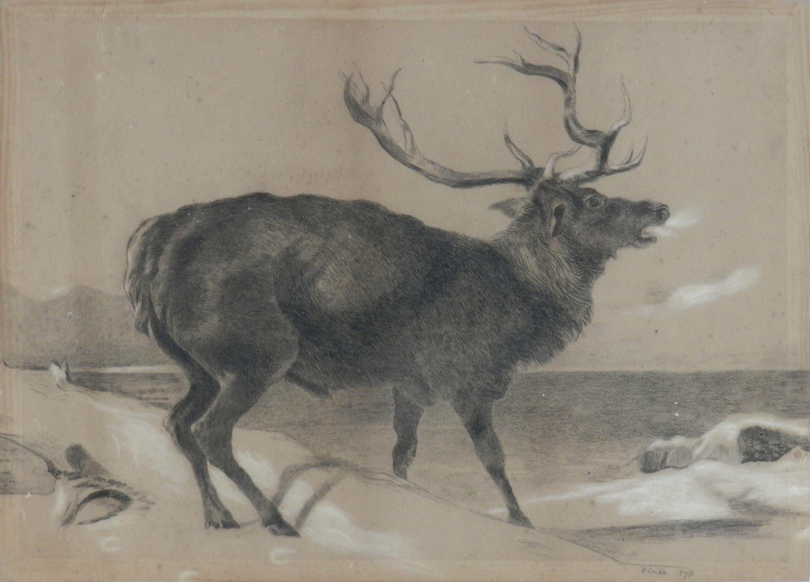 Holzkohle-Gemälde von Richard Cockle Lucas 1878, Englisch, signiert, Moose, 19. Jahrhundert