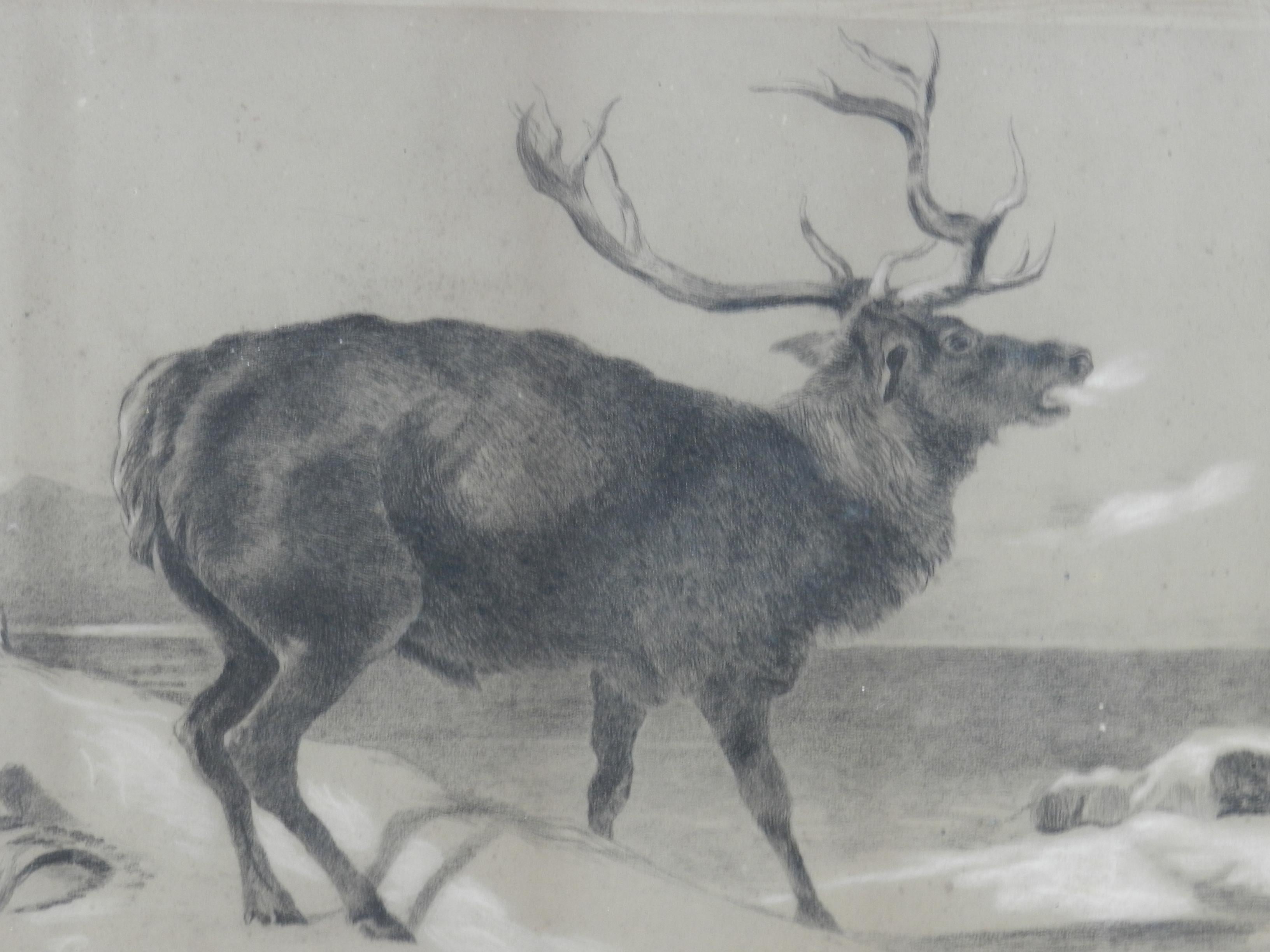 Moose Charcoal Painting by Richard Cockle Lucas 1878 English Signed 19th Century - English School Art by Ricahrd Cockle Lucas