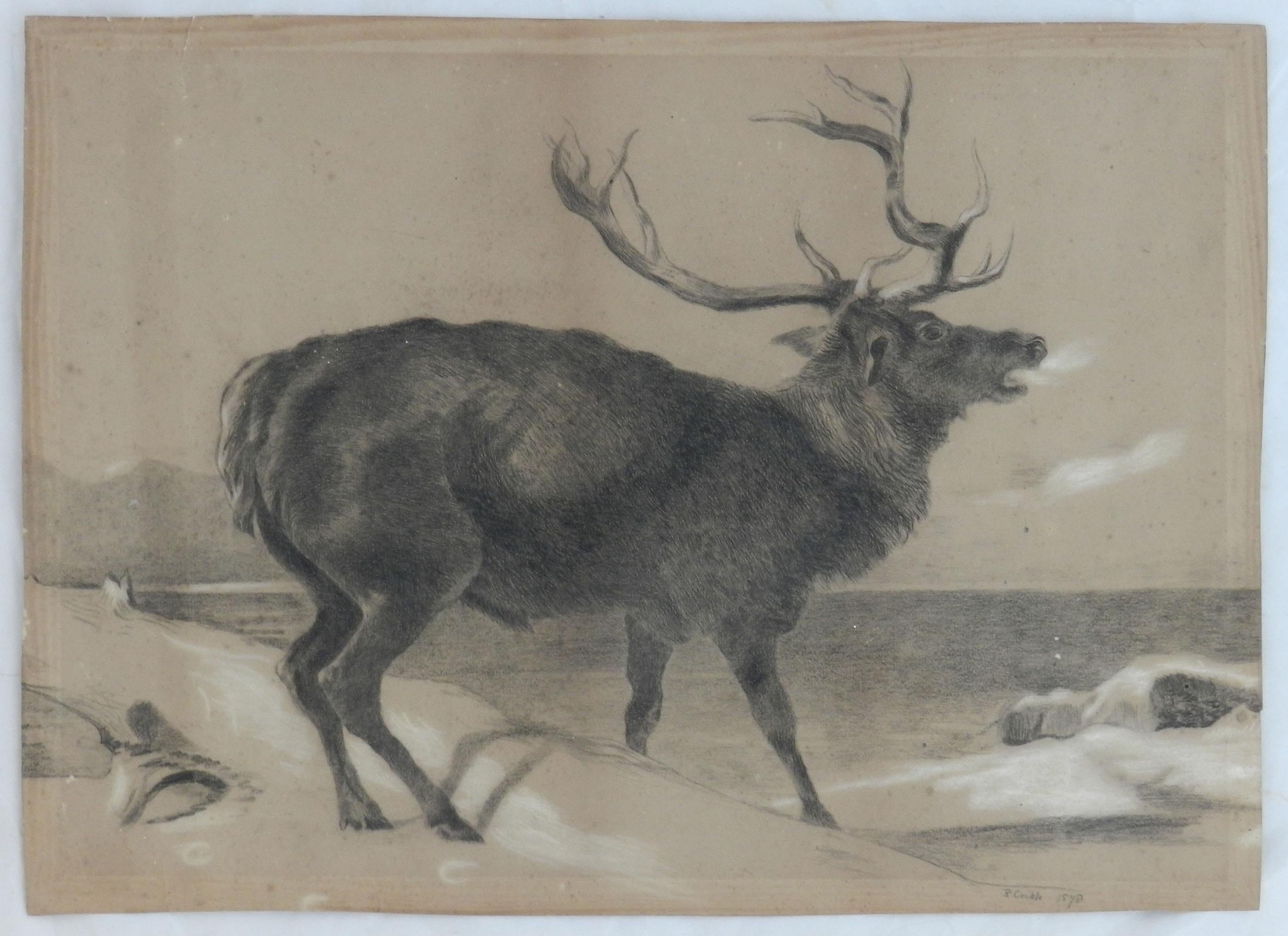 Moose Charcoal Painting by Richard Cockle Lucas 1878 English Signed 19th Century For Sale 1
