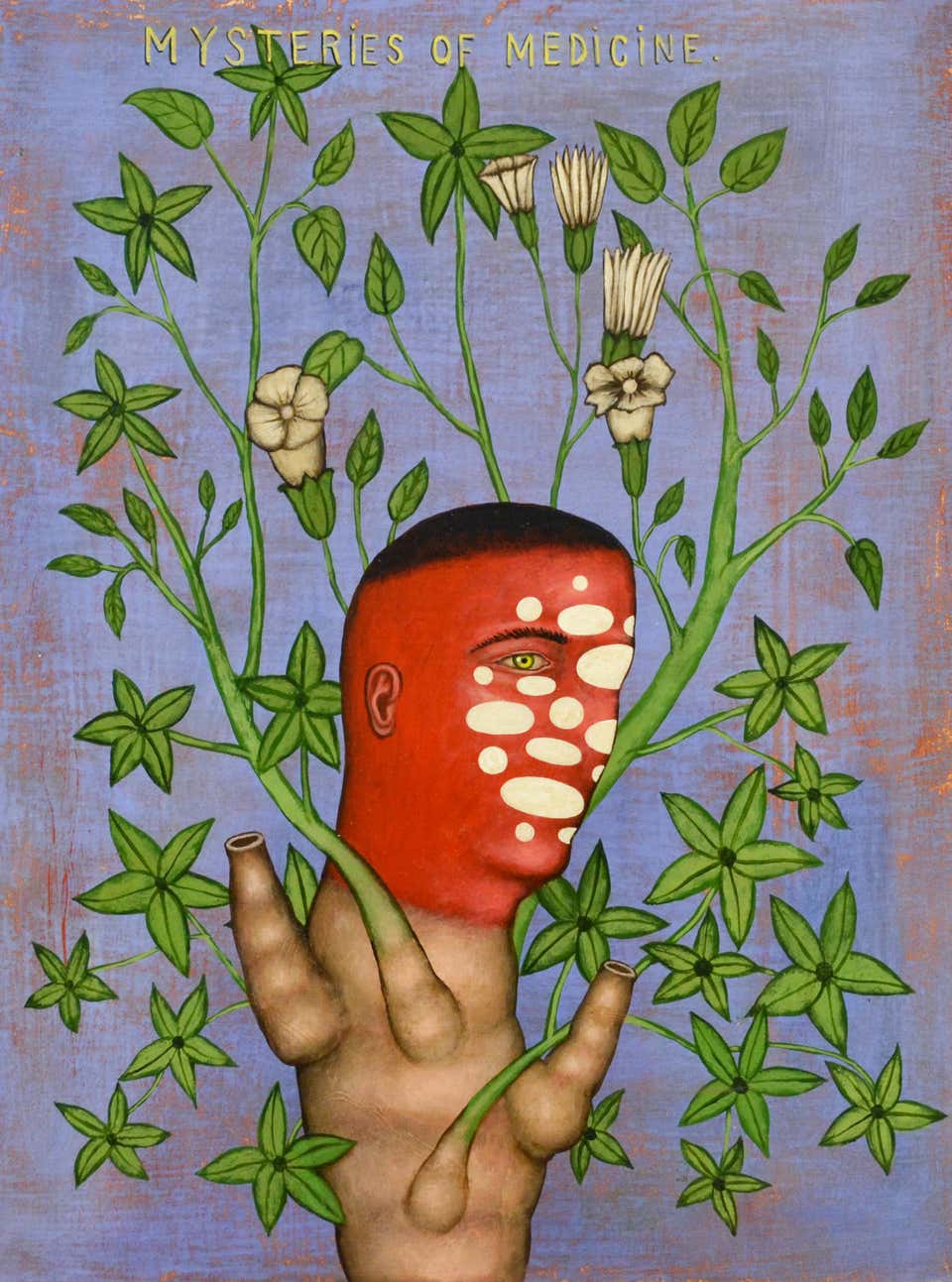 Paint. Mysteries of Medicine