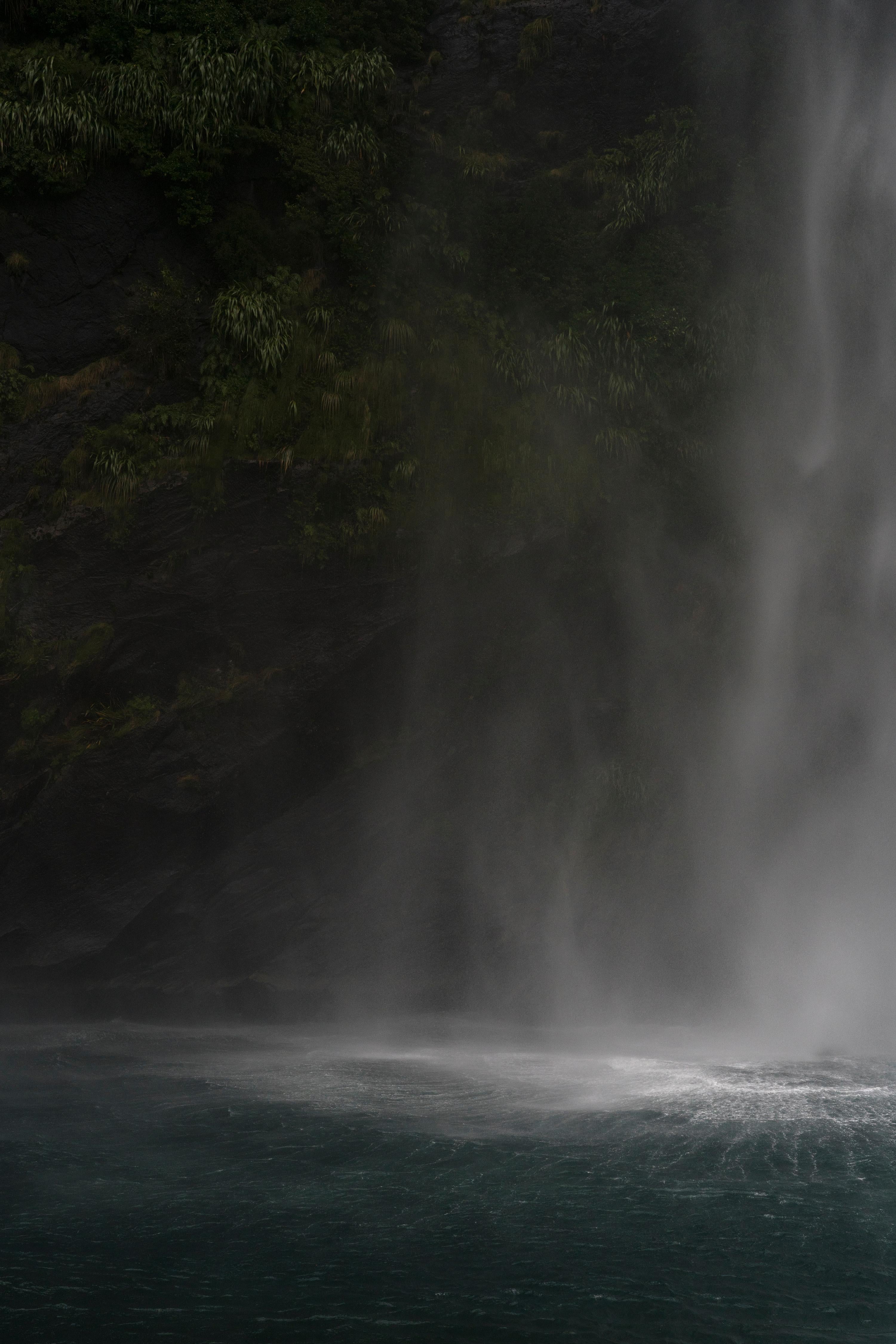 Jem Southam Landscape Photograph – Sockel eines Regenschaukels, Milford Sound, Neuseeland, Herbst 2018