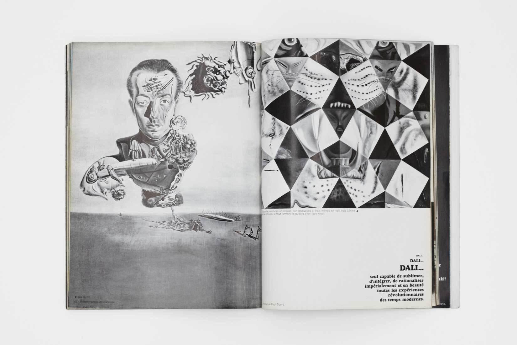 DALI...DALI...DALI... - Gray Figurative Art by Salvador Dalí