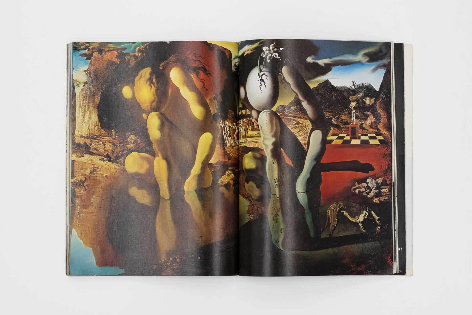 Softcover book
Containing a signed and dated drawing by Salvador Dalí
First edition and in the French language
8 3/4 x 12 inches
Published by Draeger Éditeur, 1974
