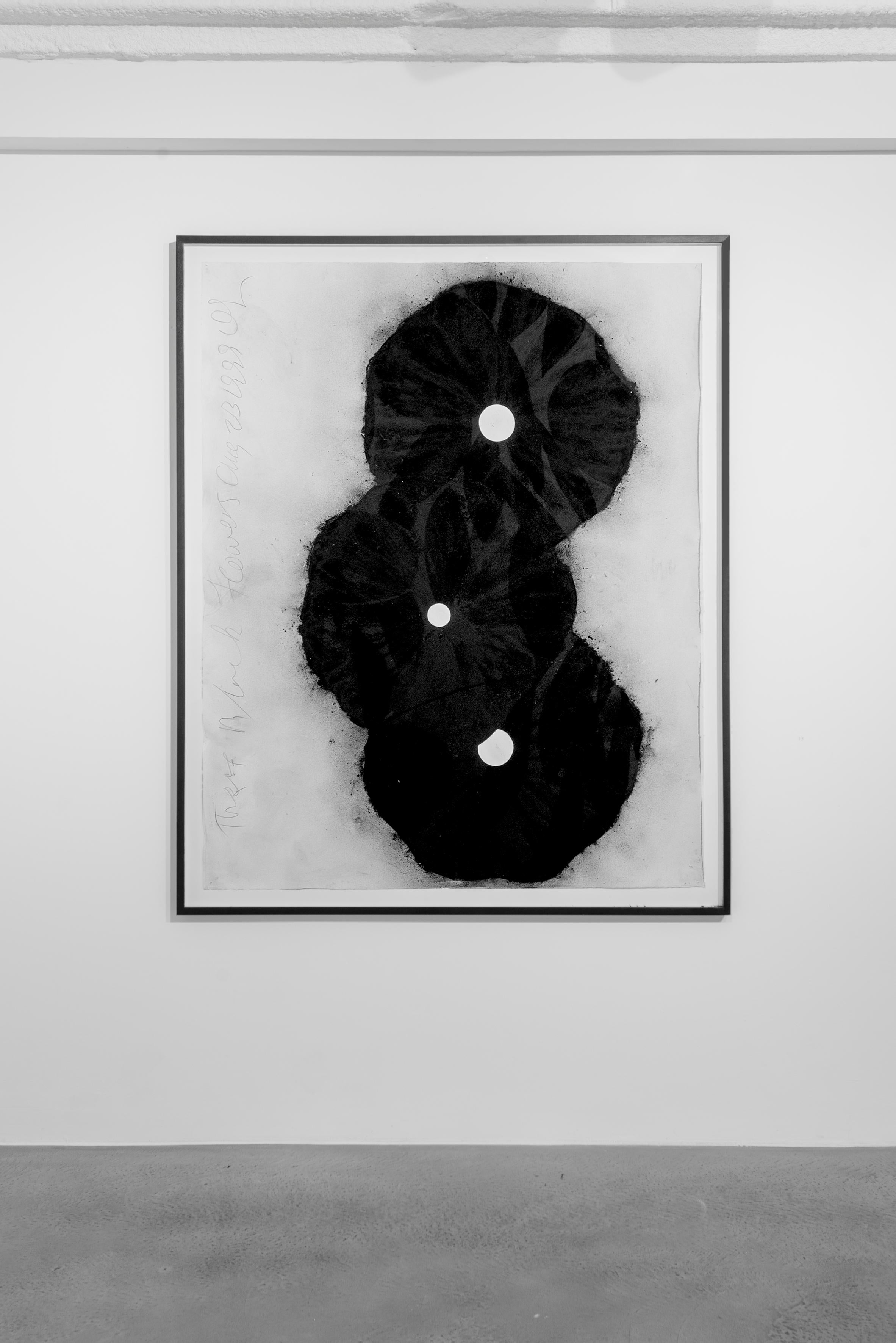 Donald Sultan
Born 1951  
Three Black Flowers, 23 August 1995
Charcoal on paper
60 x 48 inches

Donald Sultan is an acclaimed American painter known for his large-scale paintings produced using a range of industrial and non-art materials, including