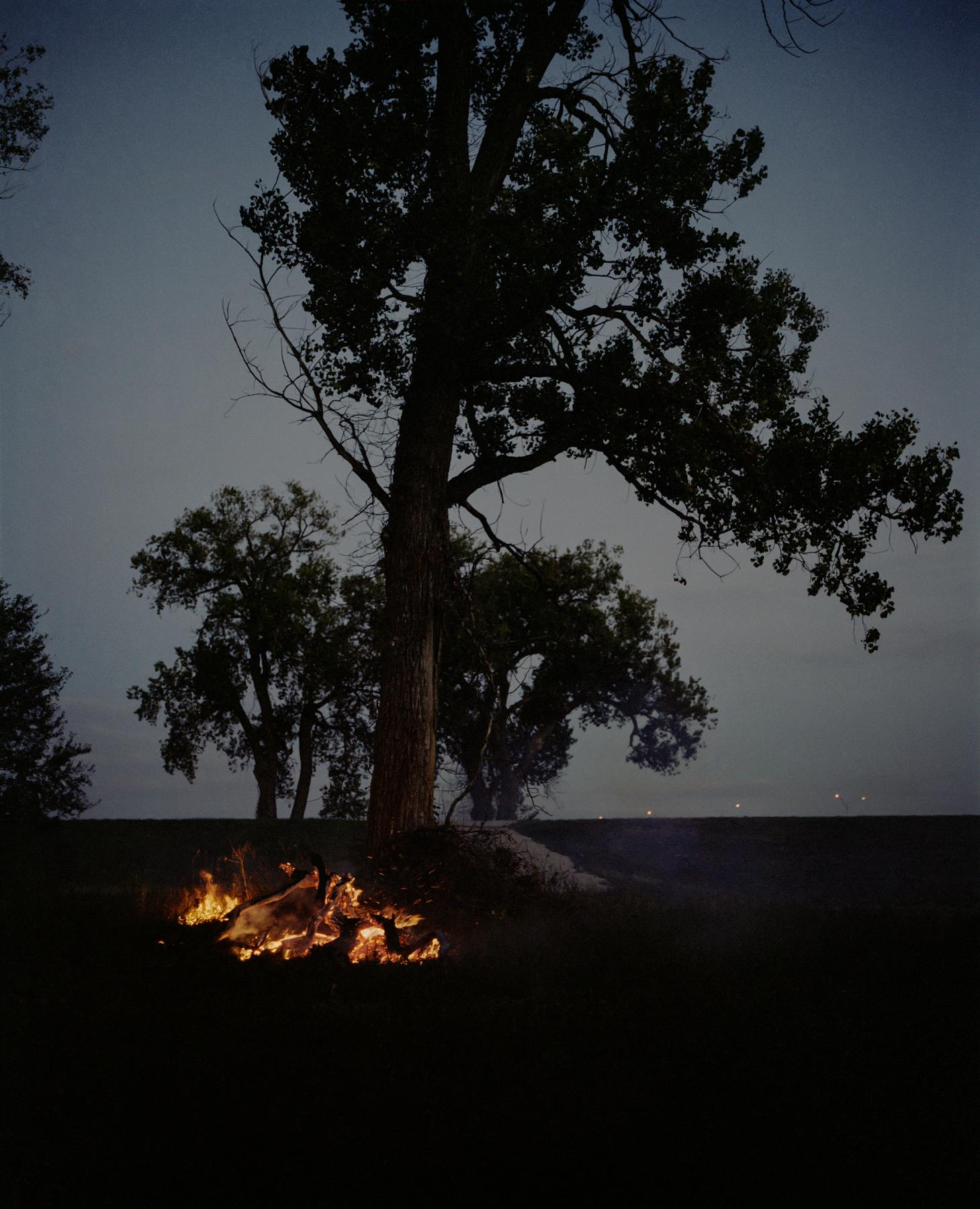 Gregory Halpern Color Photograph – Omaha Skizzenbuch: Feuer und Baum, Omaha, NE - Zeitgenössische Fotografie
