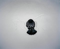 Omaha Sketchbook: Omaha, NE (Pigeon in Snow) - Contemporary Photography