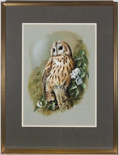 Vintage Terance James Bond (b. 1946) - 20th Century Gouache, Study of a Tawny Owl