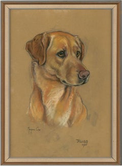 Vintage Marjorie Cox (1915-2003) - Signed and Framed 1965 Pastel, A Labrador, 'Russ'