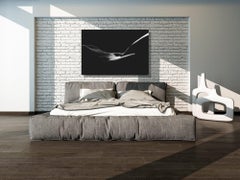 Photographie contemporaine nue en noir et blanc, impression moderne sur métal, Meirav Levy