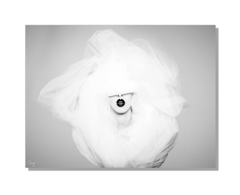 Contemporary modern abstract graphic art, giclee printed on lightweight metal composite.
Angora Veil is a heart-birthed photographic homage expressing “perfection”. Women growing up in today’s world are taught to be perfect from a young age. From