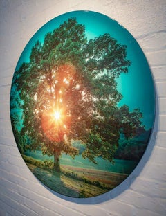 Photography, Print on Metal, Landscape, Tree, Mixed Media, Collin R.