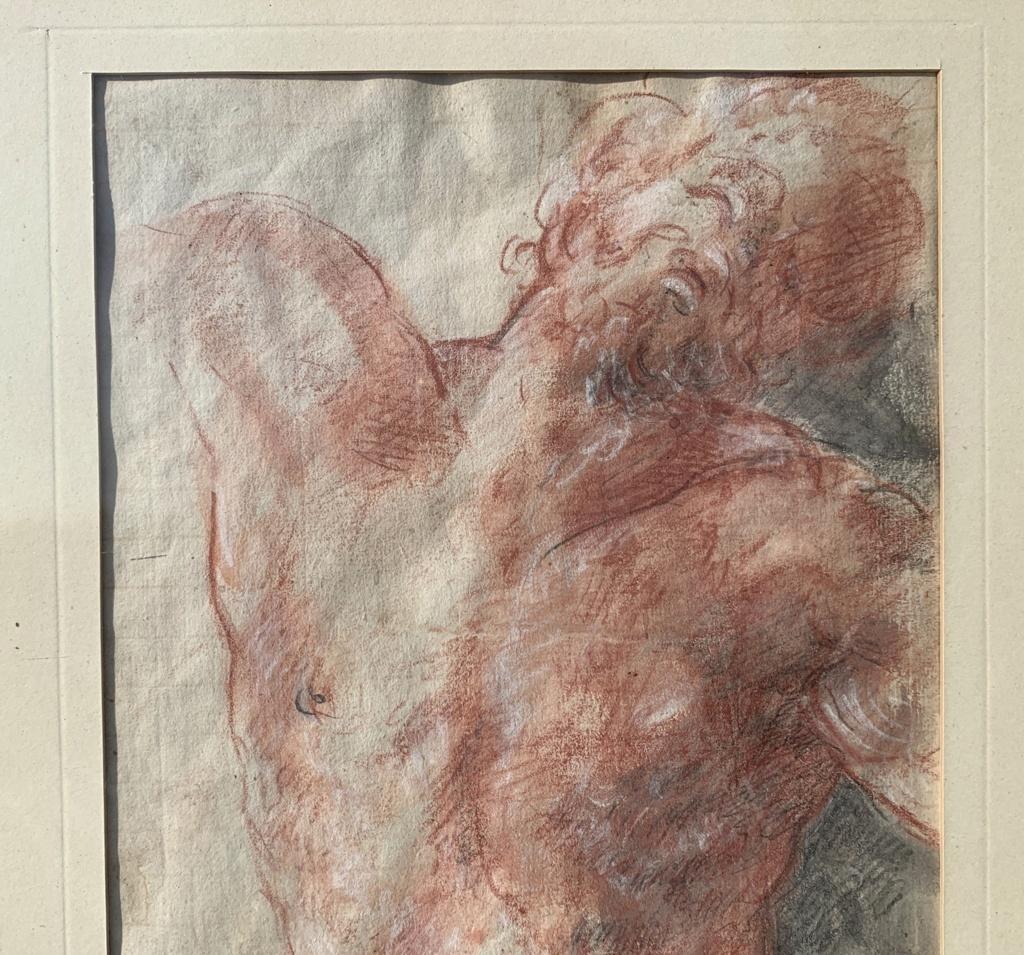 Italian painter (17th century) - Male nude.

34 x 24 cm without frame, 42 x 32 cm with frame.

Sanguine, charcoal and white pencil drawing on paper, in a gilded wooden frame.

Condition report: Paper and drawing in good condition. Some abrasions and
