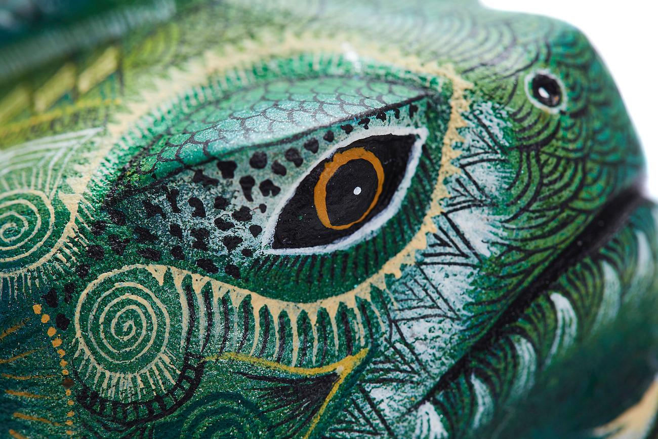 Iguana Amigable - Friendly Iguana - Mexican Folk Art  Cactus Fine Art 2