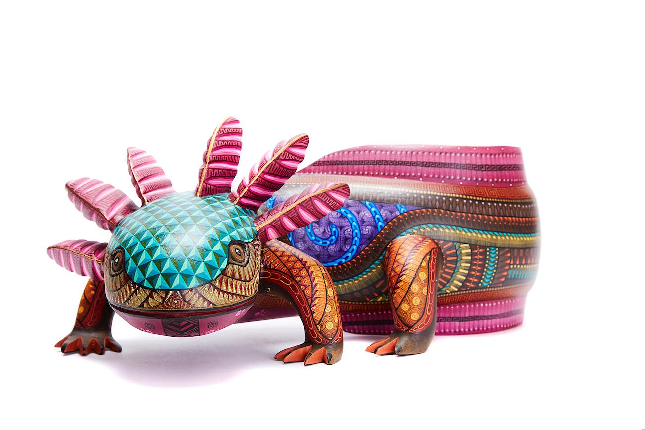 Ajolote - Axolotl - Mexican Folk Art  Cactus Fine Art 3