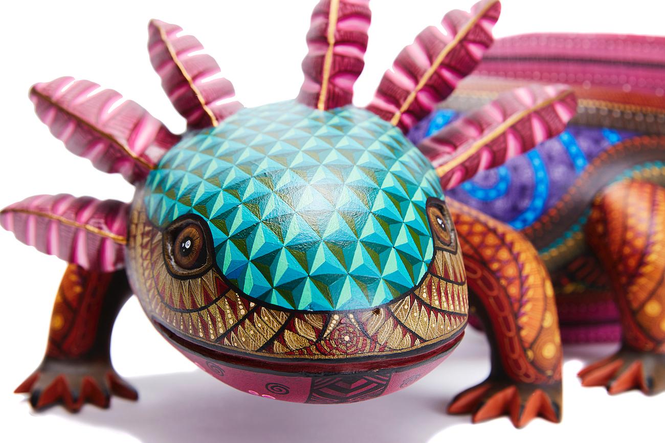 Ajolote - Axolotl - Mexican Folk Art  Cactus Fine Art 9