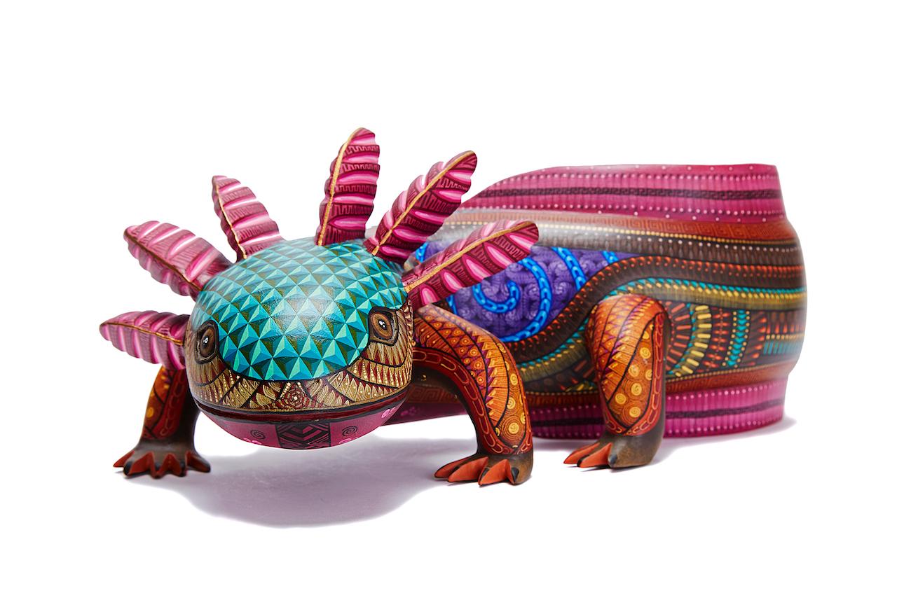 Ajolote - Axolotl - Mexican Folk Art  Cactus Fine Art 6