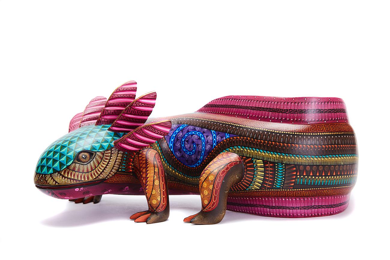Ajolote - Axolotl - Mexican Folk Art  Cactus Fine Art 13