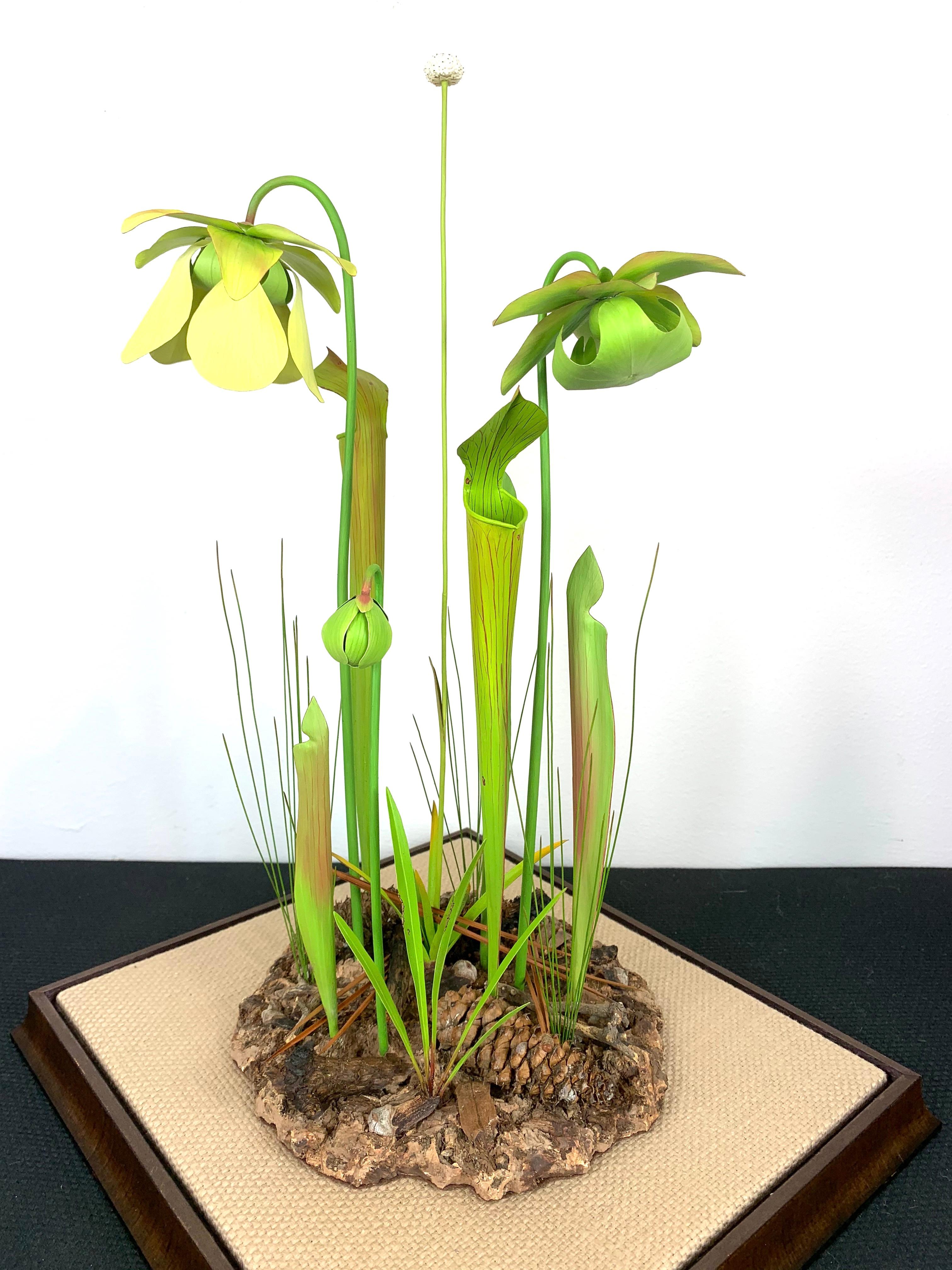 Yellow Pitcher Plant - Contemporary Sculpture by Trailer McQuilkin
