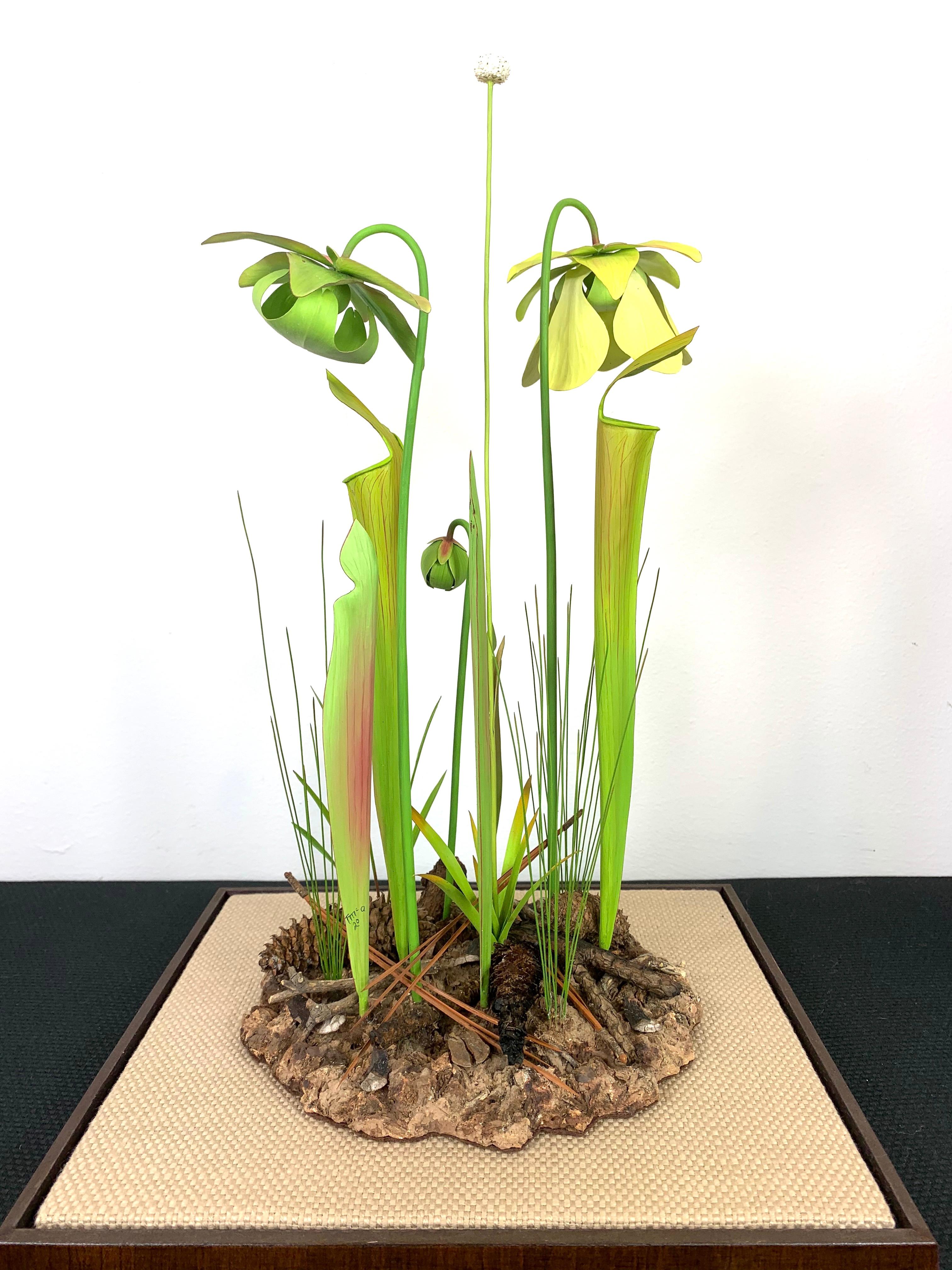 Yellow Pitcher Plant - Black Still-Life Sculpture by Trailer McQuilkin