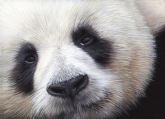Huan Huan (Panda Geant) , acrylic on medium , size with frame 21.3 x 27.1 cm