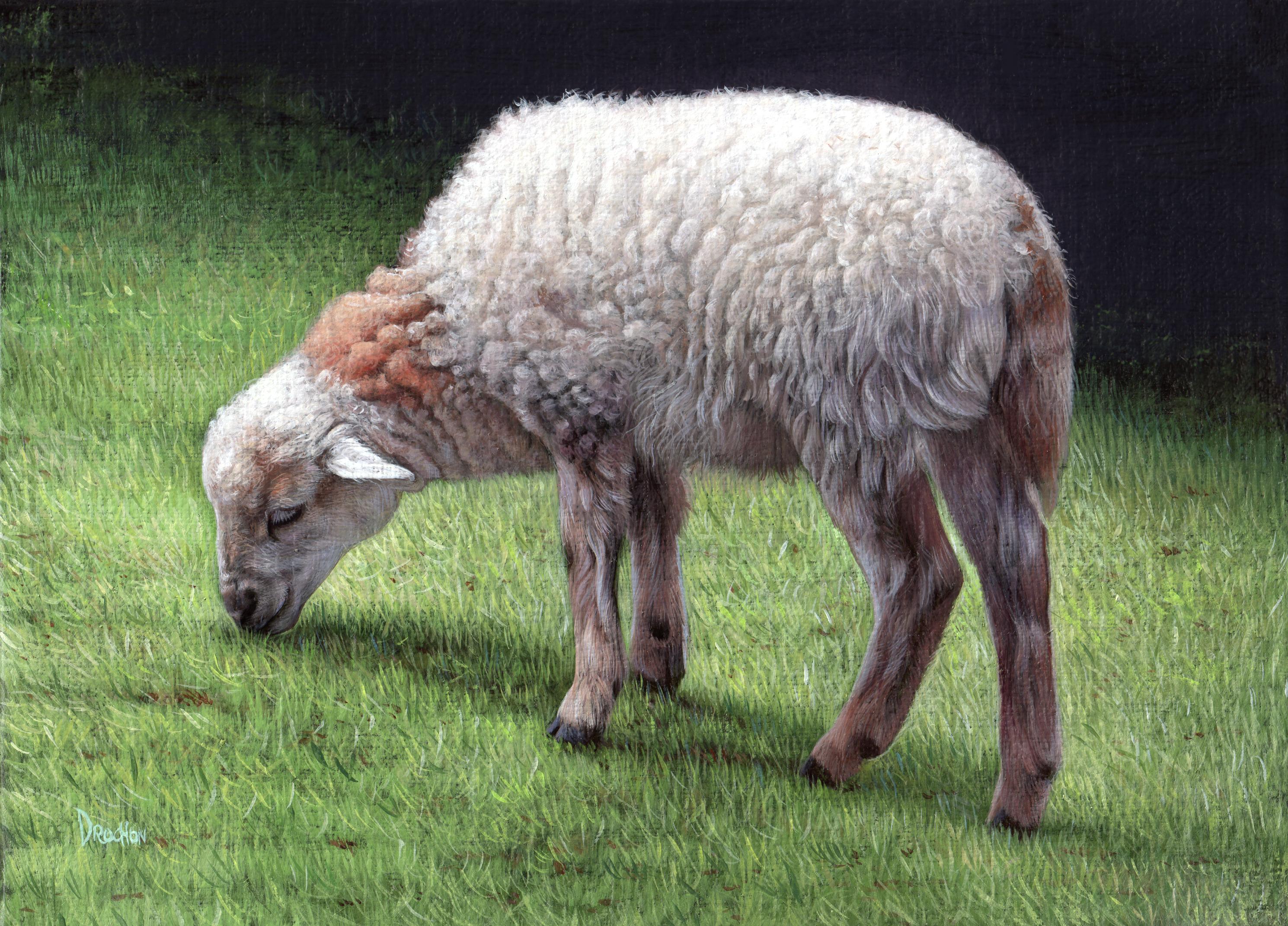Christophe Drochon Animal Painting - Agnus Del (Agneau) , acrylic on canvas , size with frame 33.5 x 39.5 cm