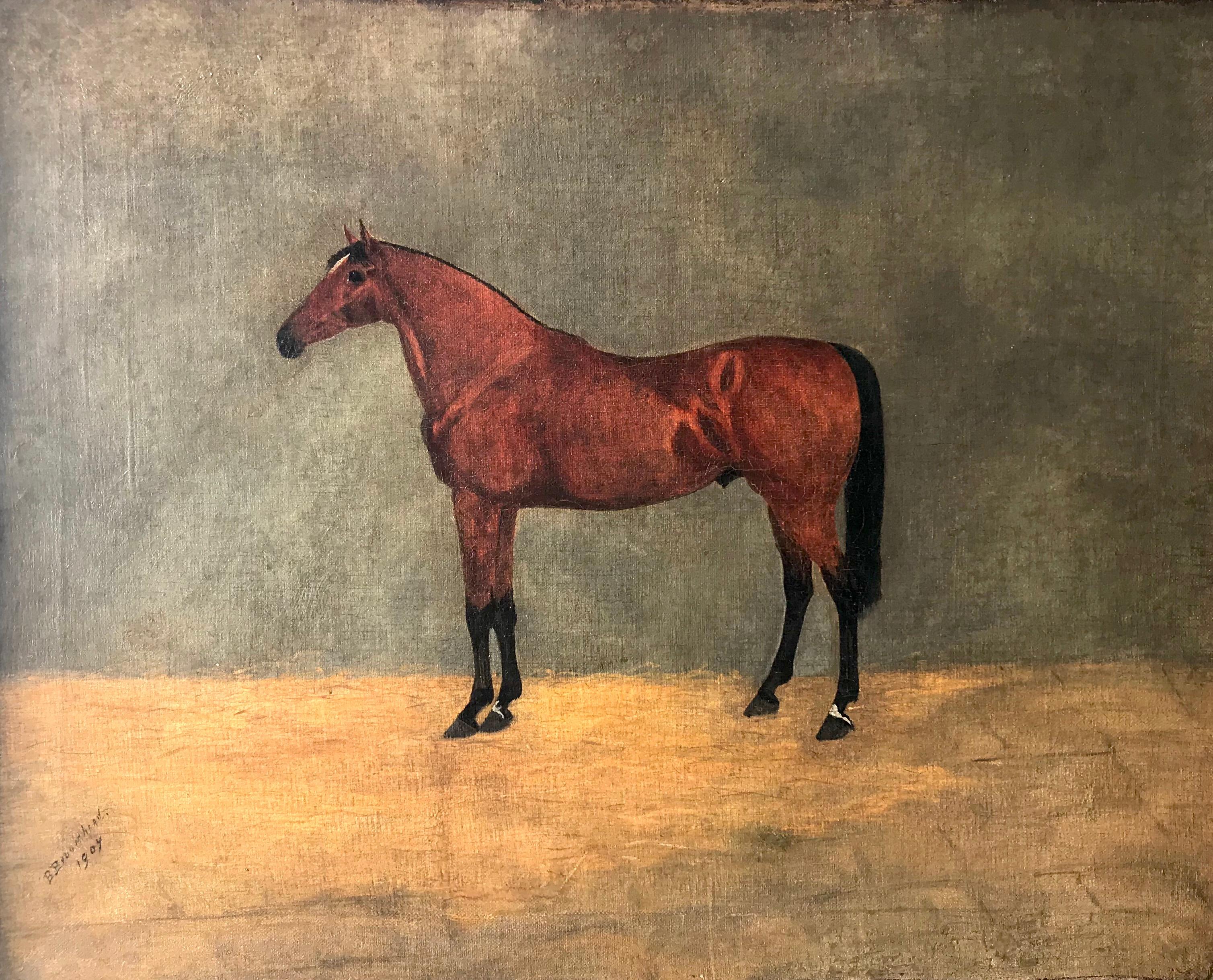 B. Broomhead; 
Horse Portrait; 
oil on canvas; 
20 x 16 in; frame: 25.5 x 21.5 in; 
year 1904;