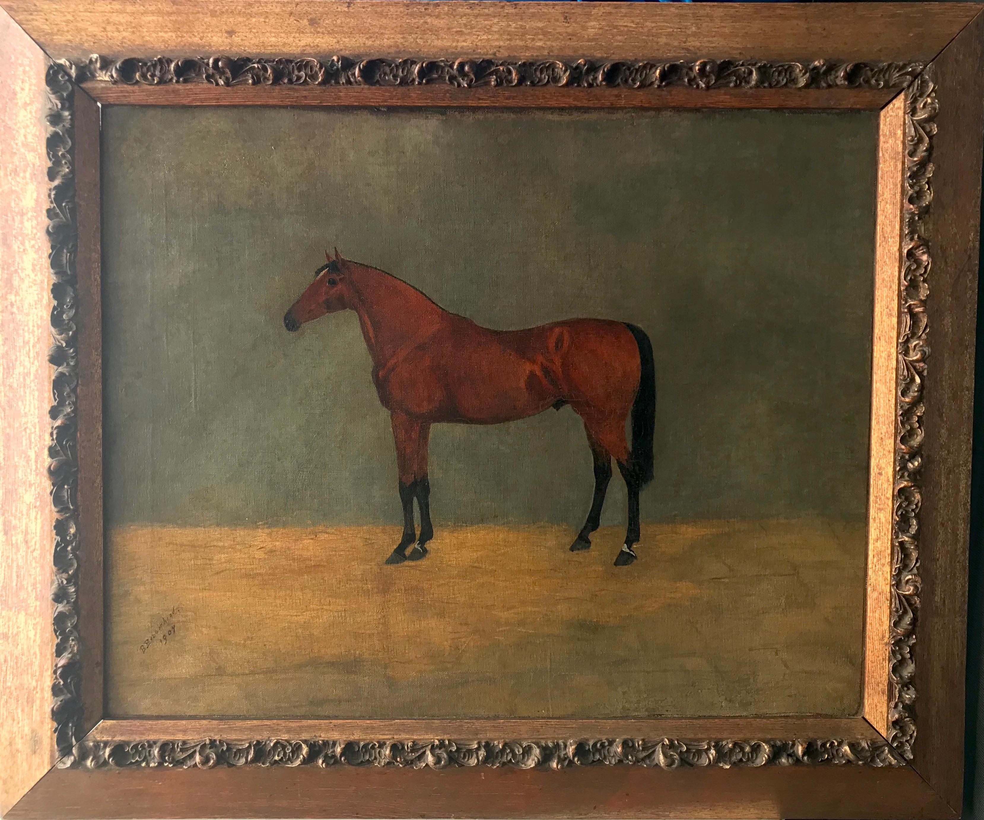 B. Broomhead; Horse Portrait; oil on canvas 1