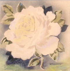 signed O’Keeffe; White Rose; watercolor