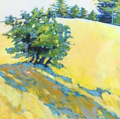 Summer Shadows on the Ridge