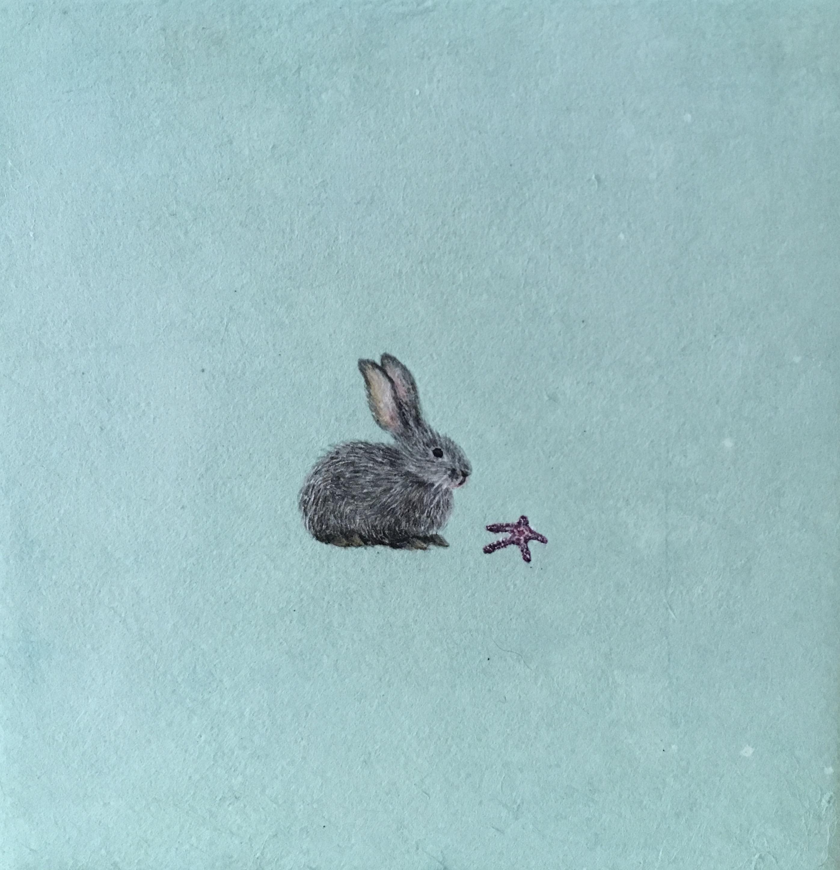 Rabbit & Starfish - Mixed Media Art by Heejin Sutton