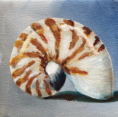 Conchiglia Nautilus