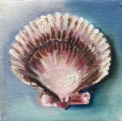 Scallop Shell