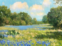 Field with Lupine