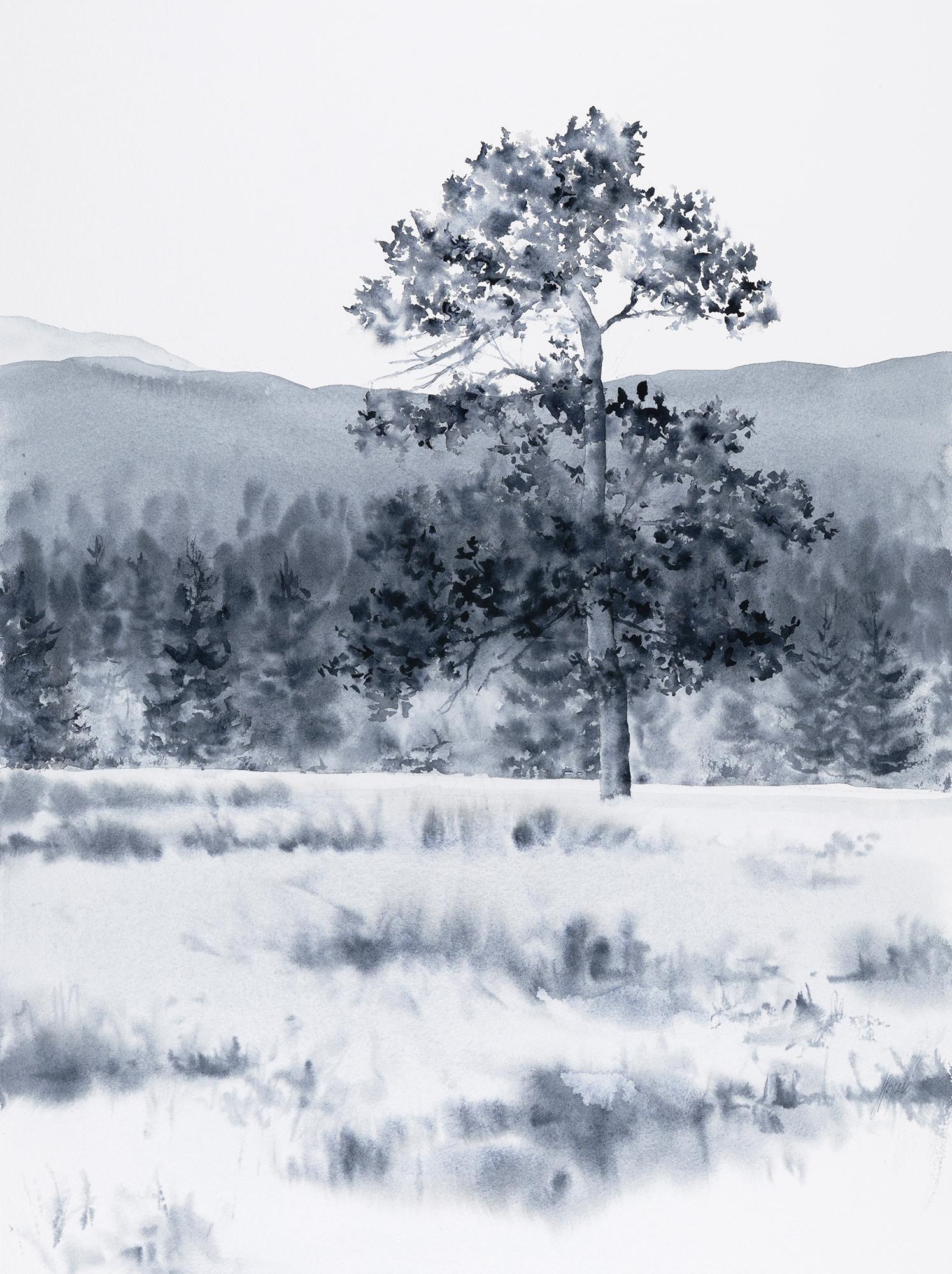 Jill Poyerd Landscape Art - Rocky Mountain Native