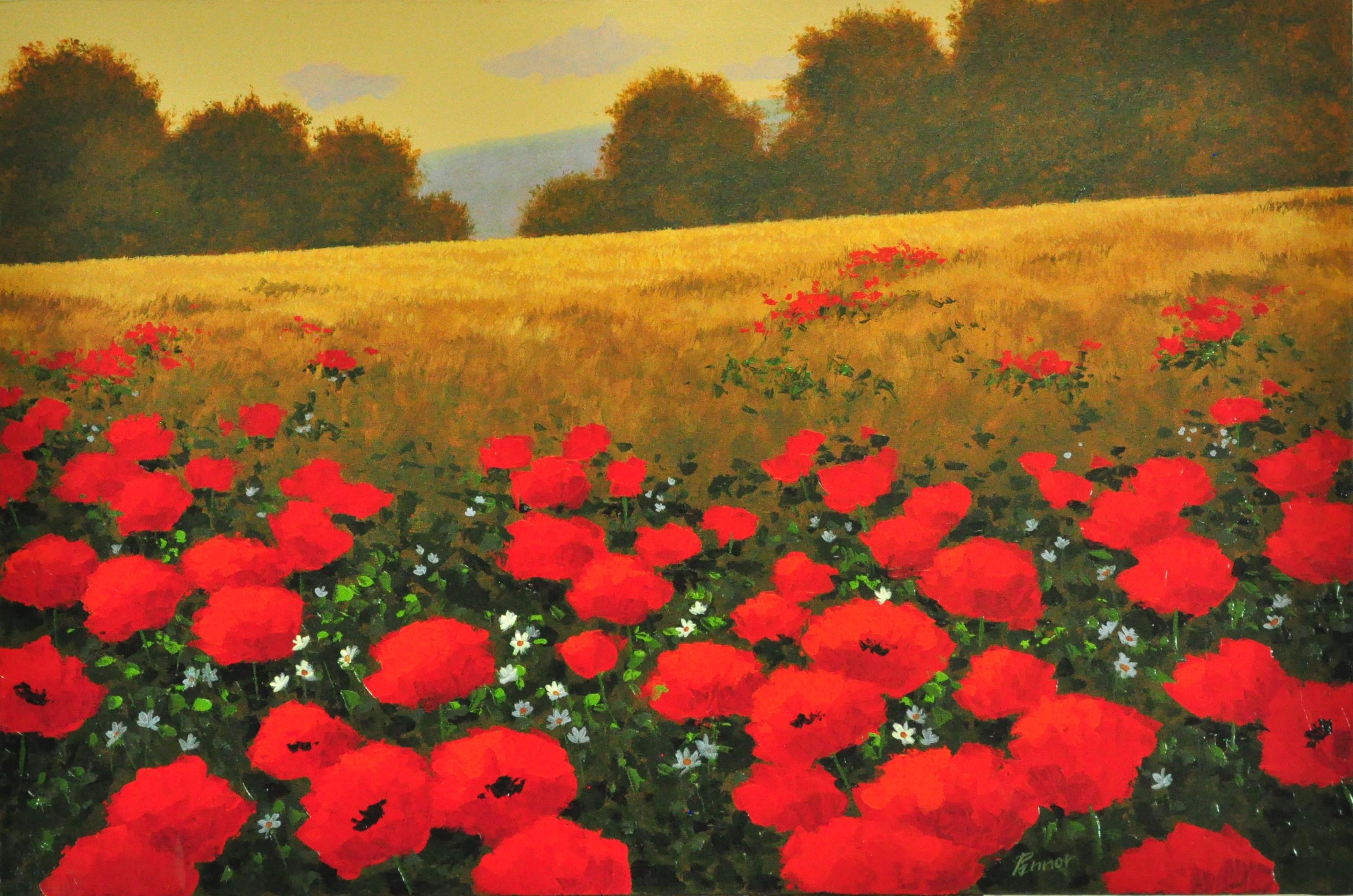 Robert Pennor Landscape Painting - Red Poppies in a Field, Original Painting