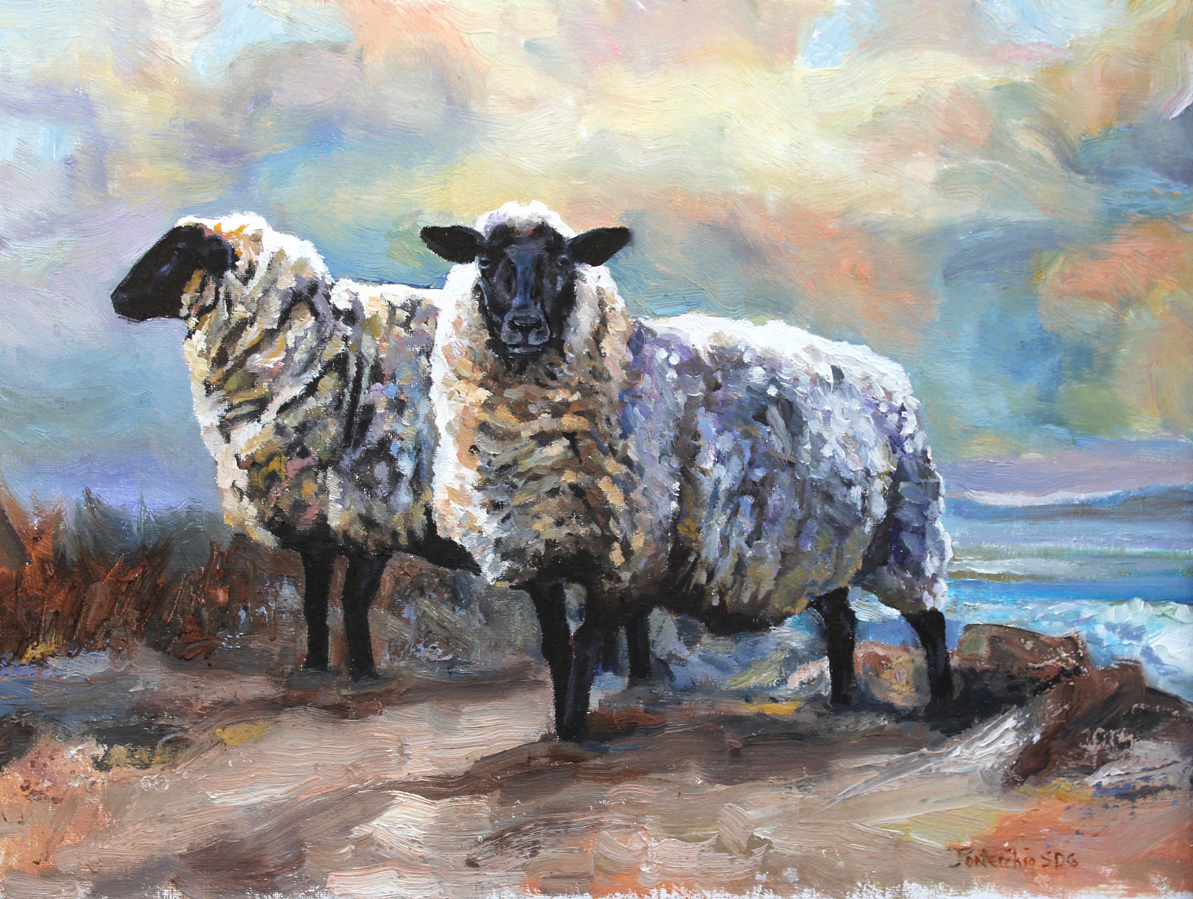 Black Faced Sheep, Devon, Oil Painting - Art by Jan Fontecchio Perley