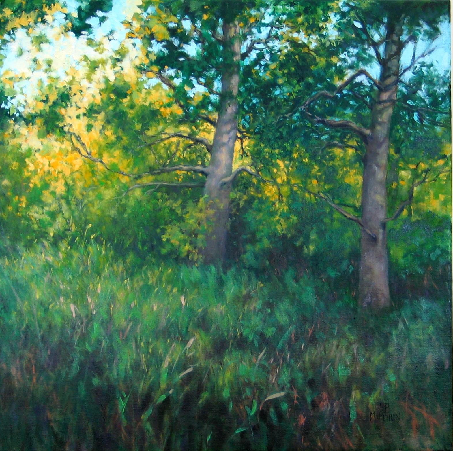 Woodland Sentinels, Oil Painting - Art by Suzanne Massion