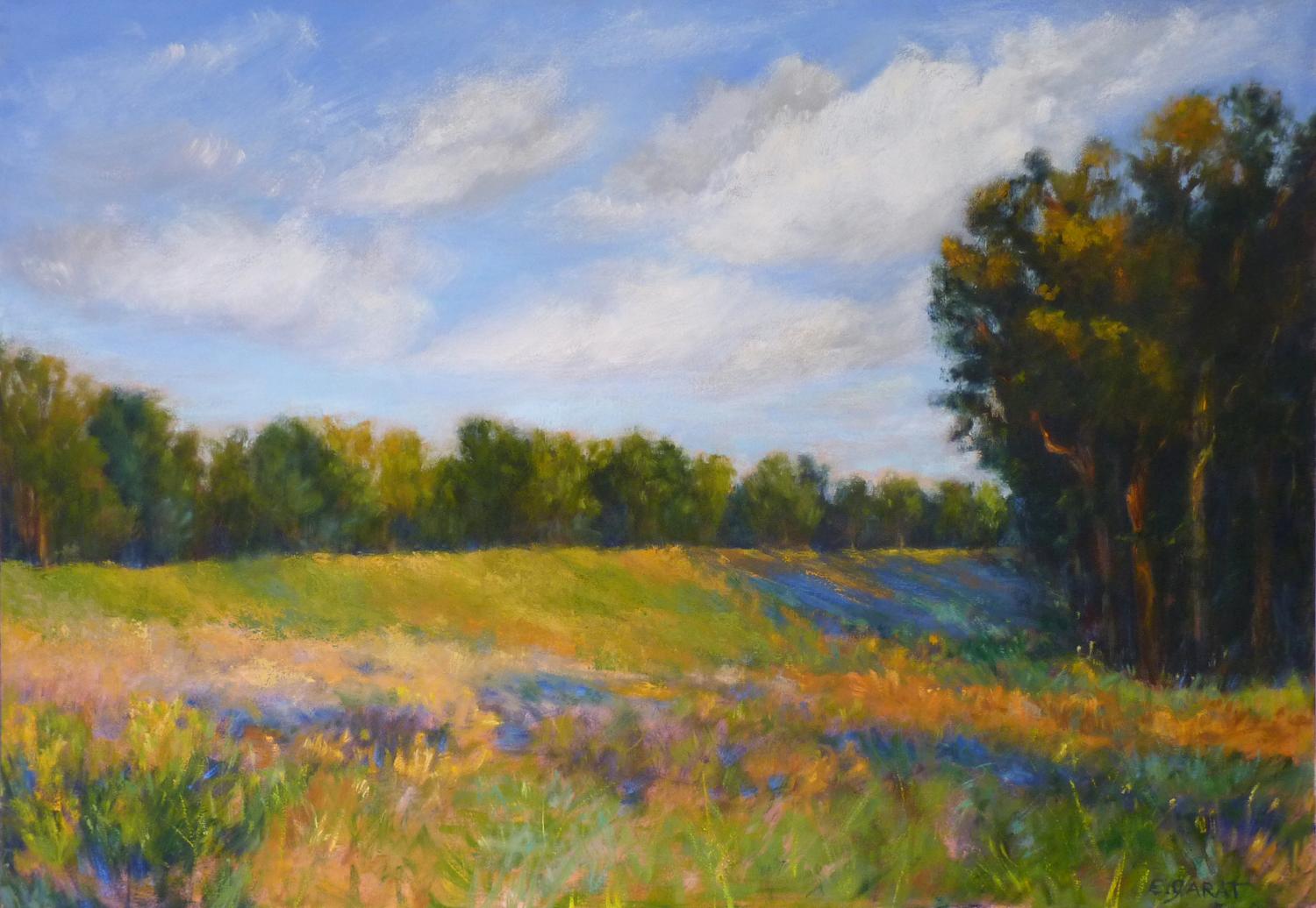 Elizabeth Garat Landscape Painting - Summer Pasture